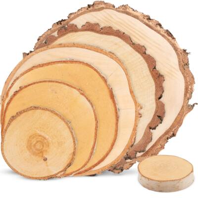 Birke Holzscheiben 8 - 45 cm zum Basteln, Dekorieren