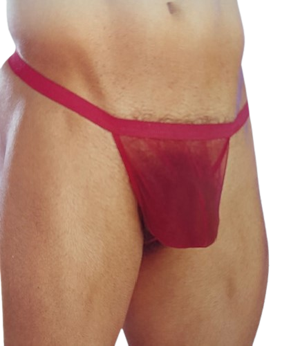 Mens Transparant Mesh Pouch - Picture 2 of 6