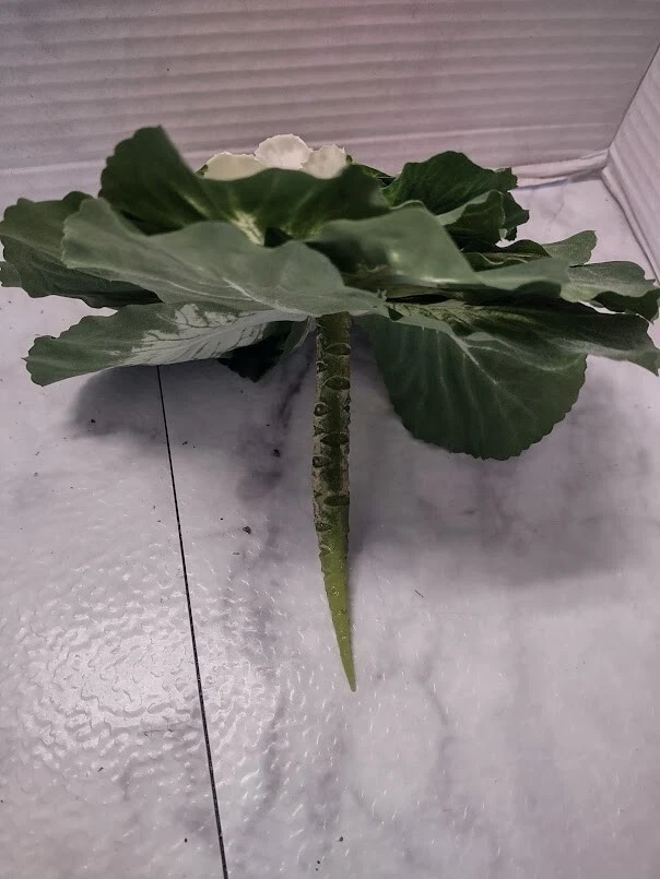 Mini rose artificial decorative cabbage. Silk Flowers - Image 3 of 4