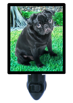 Dog Decorative Photo Night Light, Sad Pug, Black Pug