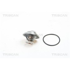 Thermostat BMW M5