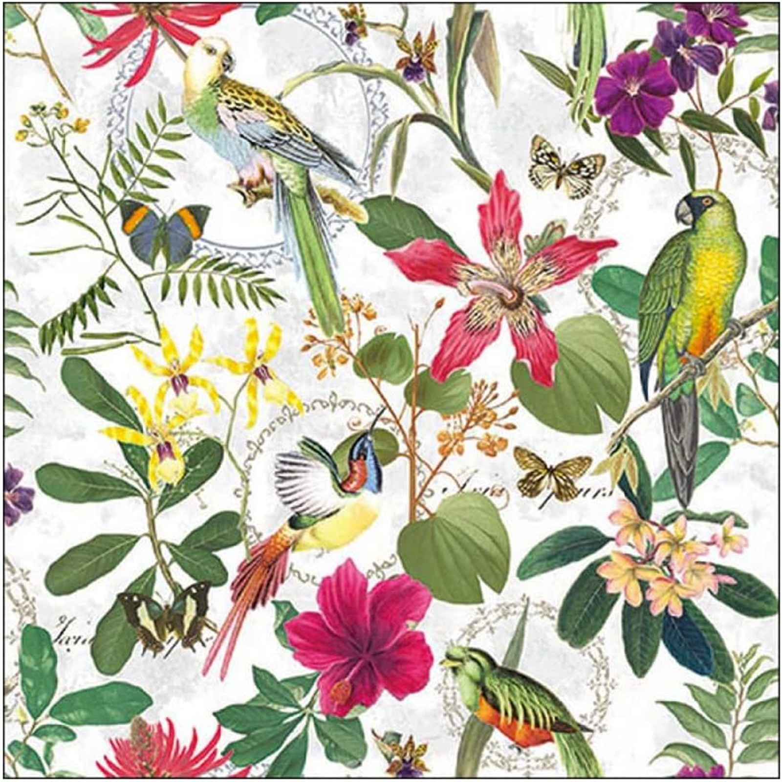 Tropical Birds Paper Napkins Exotic Floral Jungle Decoupage Serviettes 3 Ply x20