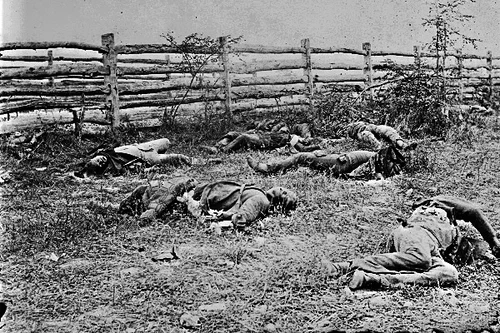 New 5x7 Civil War Photo: Soldiers Dead by Fence after Antietam - Sharpsburg