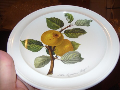 PORTMEIRION POMONA INGESTRIE PIPPIN APPLE 7 3/8" B&B PLATE NEAR MINT BUY IT NOW! - Picture 2 of 4