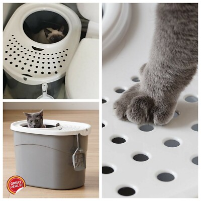 giant covered litter box