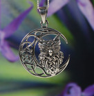 Sterling Silver 925 Owl in Crescent Moon Pendant