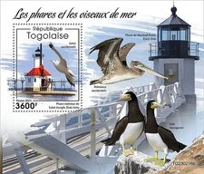 LIGHTHOUSES & SEABIRDS Sea Birds Bird MNH 1v-Stamp Sheet #2562 (2023 Togo)