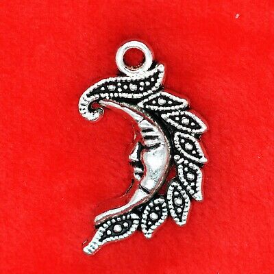 Mystery Wicca Pagan Witch Charms Charm Casting Mixed Antique Silver Charms  and Pendants Charm Mystery Scoop Witchcraft 
