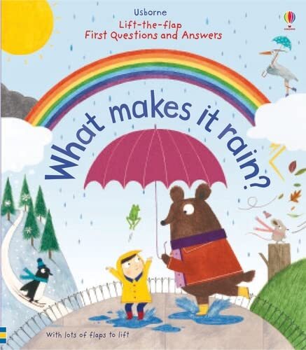 Lift-the-Flap First Questions and Answers What Makes it Rain? By Katie Daynes,C