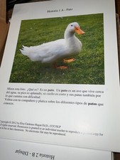 SPANISH VOCABULARY CARDS - ESPERANZA PRACTICA DE LECTURA 266 CARD SET COLOR PIC