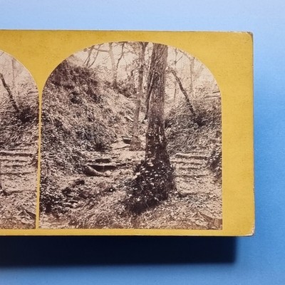 Hastings Stereoview 3D um 1860 Echtfoto ländliche Szene Ecclesbourne Glen Sussex