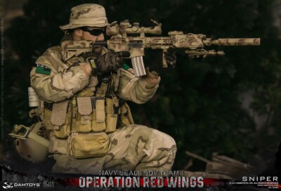 DAMTOYS DAM 78085 1/6 Operation Red Wings Seal Carrier Sniper