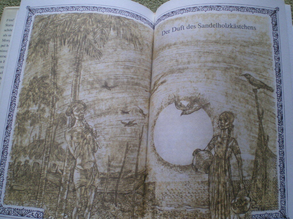 Imagen 7 de 7