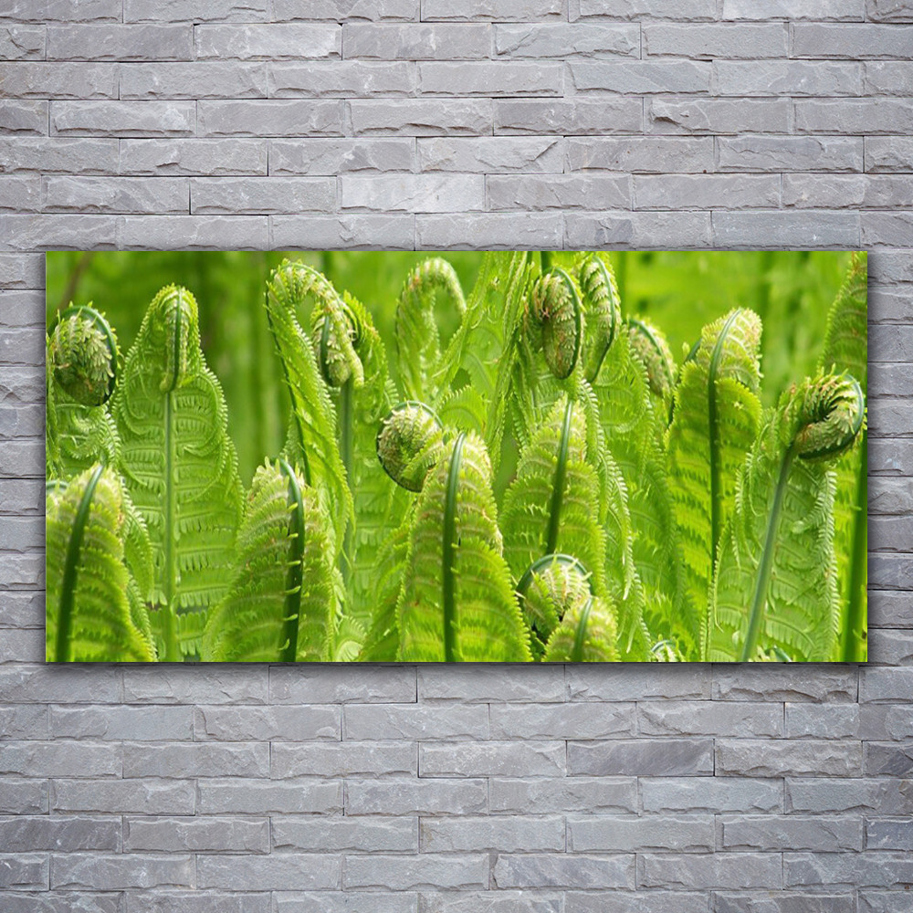 Image sur verre acrylique 120x60 motif floral et végétal pour décoration murale