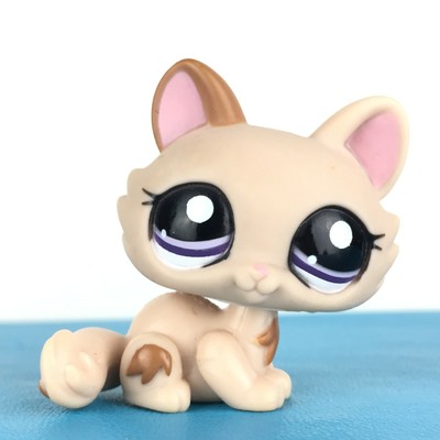 guinea pig bedding alternatives