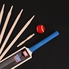 M.Y 7 Pezzi Cricket Set IN Borsa da Trasporto Incluso Mazza Cricket,Ceppi E Soft