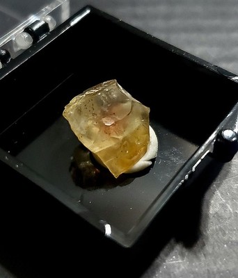 5ct Oregon Sunstone Facet Rough In Display Perky