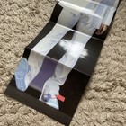 Foto 12 di 13