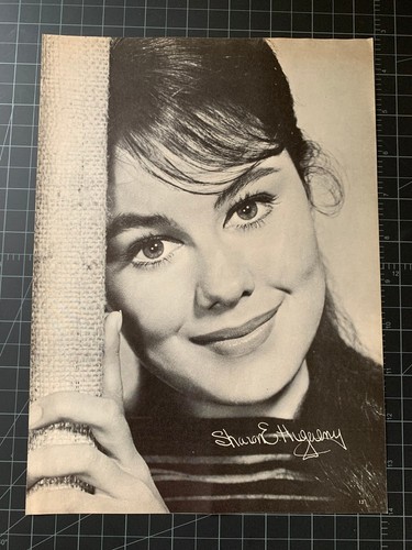Vintage 1962 Hollywood Star Portrait - Sharon Hugueny - Publicity Portrait