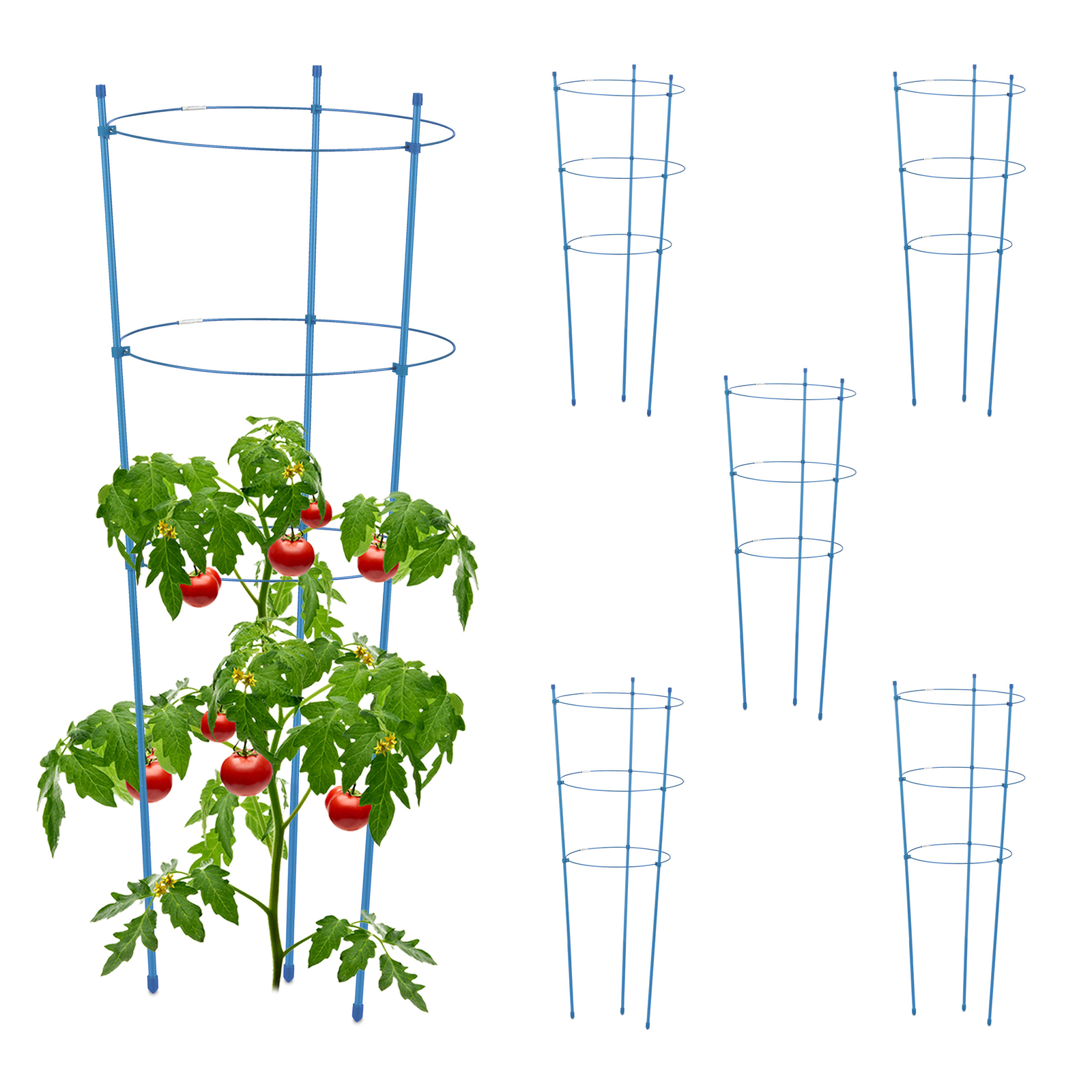 Jaulas tomates azules Set de 6 Soportes trepadoras Varillas plantas Palos huerto