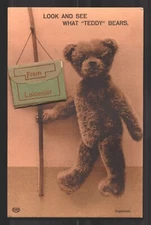 Look And See What Teddy Bears Novelty Photo Album Antique Postcard EAS
