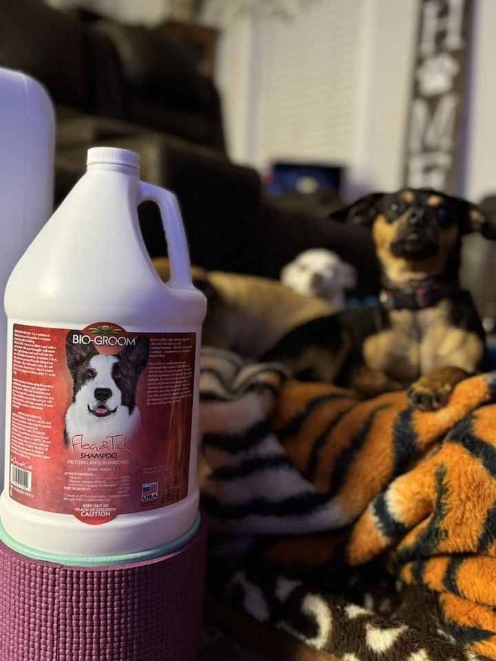 Champú antipulgas y garrapatas Bio Groom champú para perros de 1 galón Foto 4 de 4