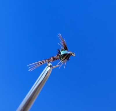 3x PHEASANT TAIL FLASHBACK TROUT NYMPHS Fly Fishing #16