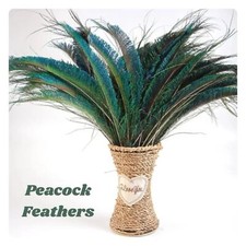 10pcs Natural Peacock Feathers DIY Arts Crafts Wedding Party Décor 25-30cm