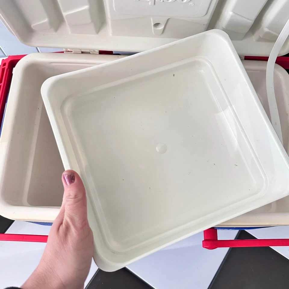 RARO 1990s Procter & Gamble P&G Sales Rep Igloo cesta de piquenique cooler 25qt - Imagem 4 de 4