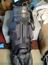 Pro Select Golf Cart/CARRY Bag, 6 way divider, 8 Pockets With Rain Cover/STRAP