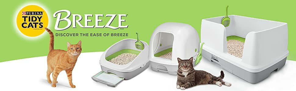 cat breeze