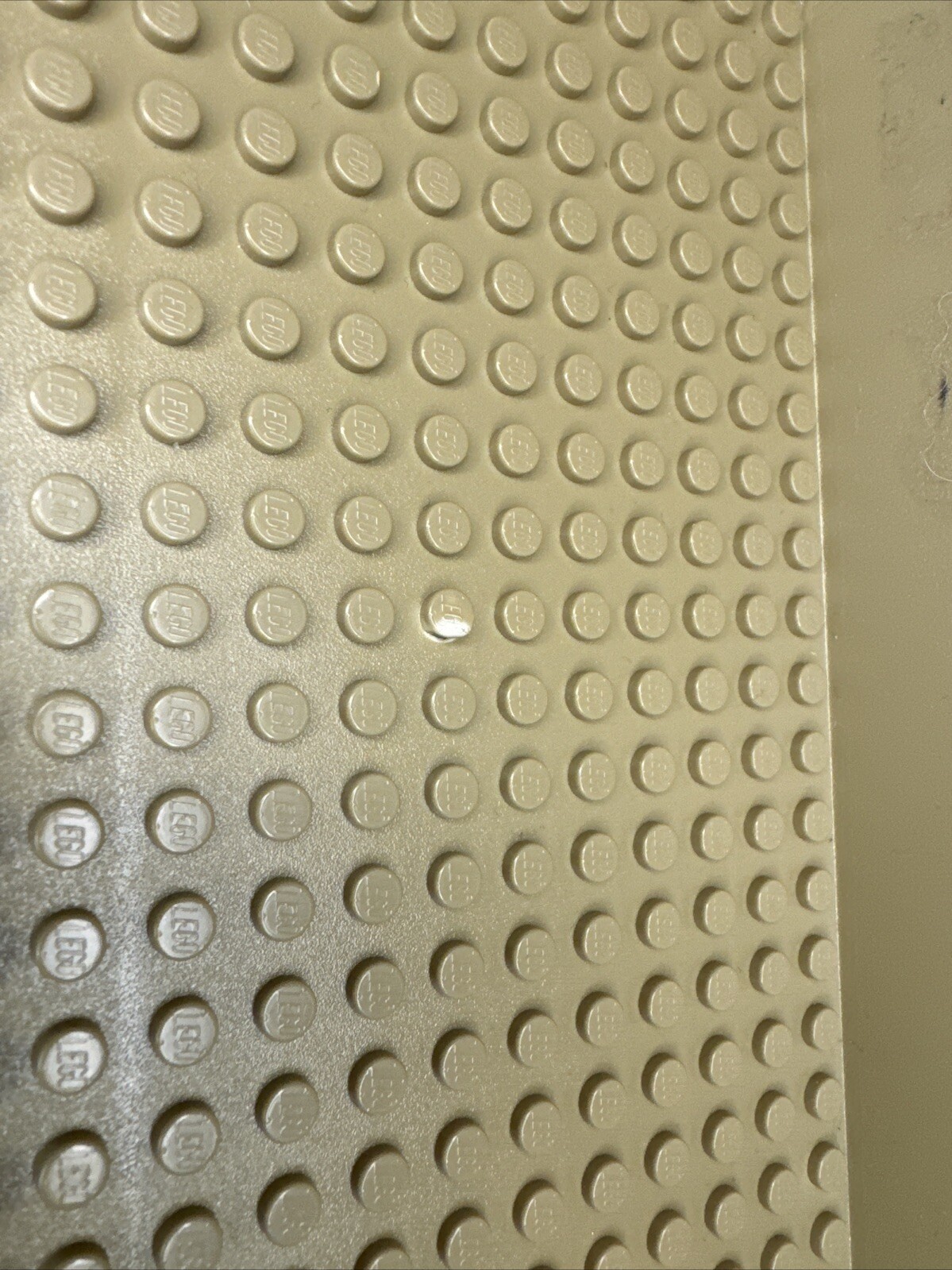 Picture 9 of 13