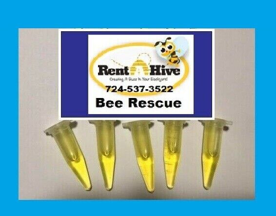 Swarm Pro Lure 5 pack 2 ml.Ea honeybee lure vials SWARM PRO LURE Bee Whisperer