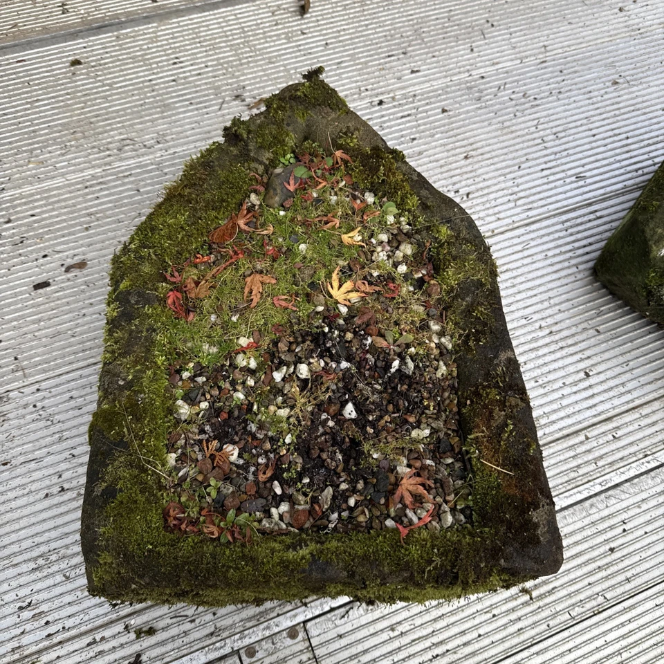 18th C Large Carved Stone Round Trough Planter Carved Stone 480mm length  - Image 2 of 3