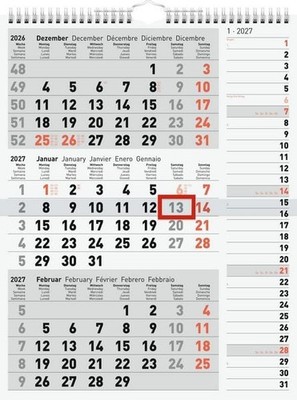 rido/idé 7033330007 3-Monatskalender 2027 grau, 300×390 mm 1 Blatt = 3 Monate