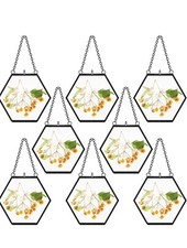 8 Pieces Hanging Glass Floating Frame 4 X 3 Inch Pressed Flower Glass Picture
