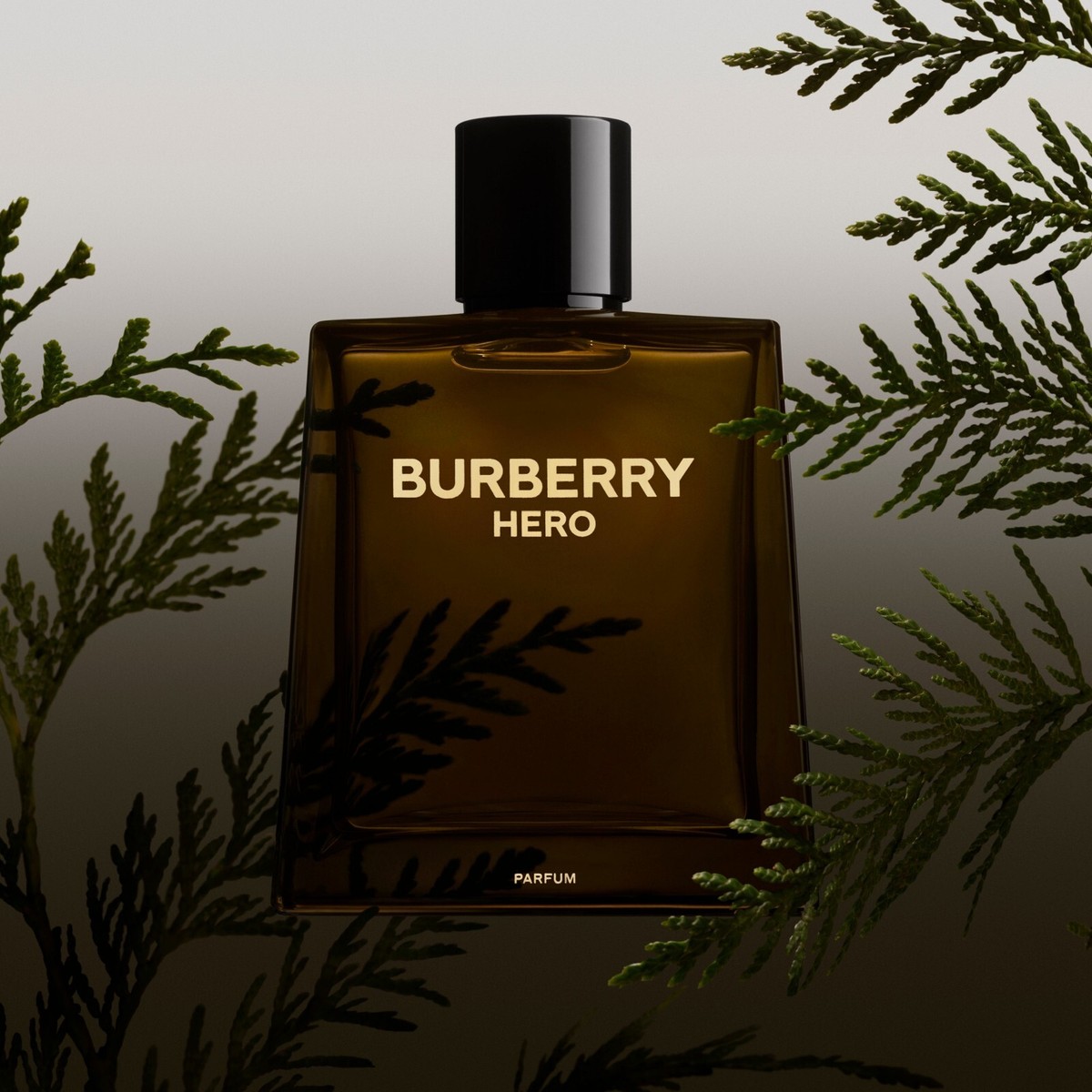 BURBERRY HERO Eau de Parfum オードパルファム50ml Hero Eau de Parfum with Pine & Cedarwood - BURBERRY | Sephora