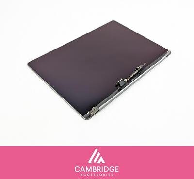 MacBook Pro 16'' 2019 A2141 Display Screen Assembly LCD Original Space Grau