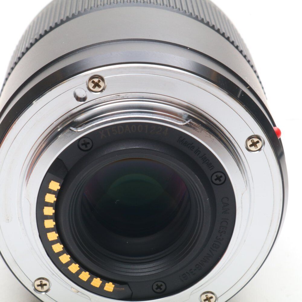 Panasonic Single Focus Macro Lens for Micro Four Thirds Panasonic Single Focus Macro Lens for Micro Four Thirds