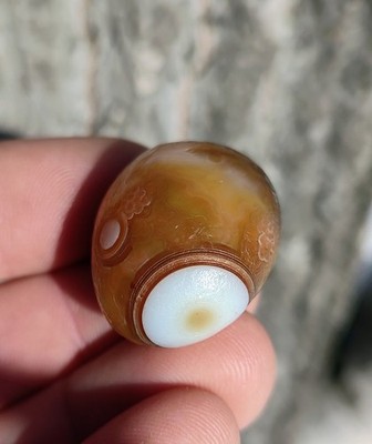  GOBI EYE AGATE, DRAMATIC MULTI-EYE GOBI DESERT AGATE  23G