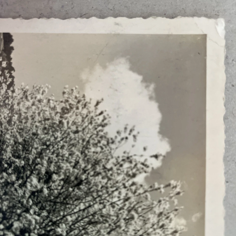 San Genesio, Presse Bolzano • Postkarte 1944 gelaufen - Bild 4 von 4