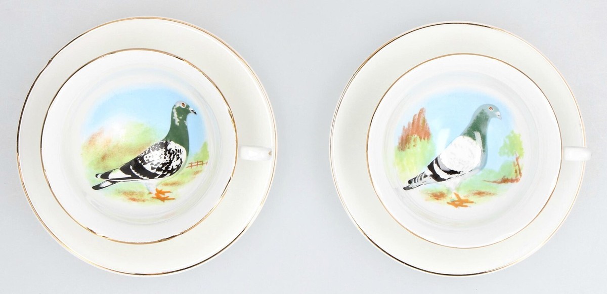 Vintage English Bone China PIGEON CUPS SAUCERS UK - Main Image