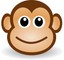 the_super_monkey