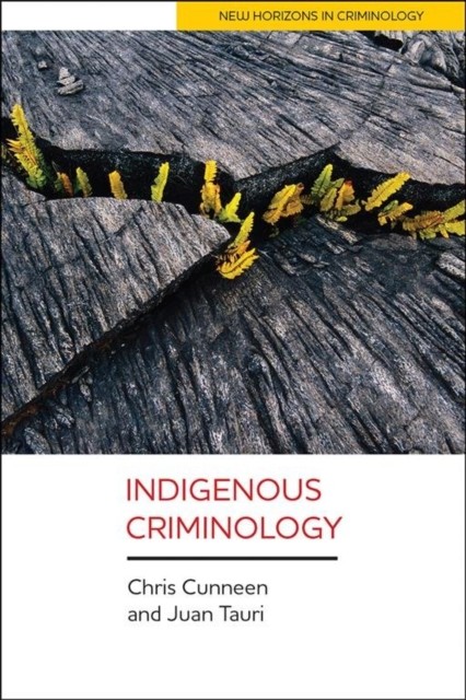 Indigenous Criminology Cunneen Paperback Bristol University Press - Image 5