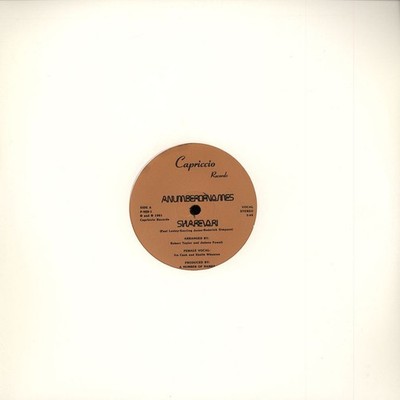 A Number Of Names - Sharevari (Vinyl 12'' - 2012 - US - Reissue)