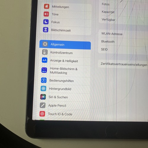 Apple iPad Pro 1st Gen 10.5" 256GB Wi-Fi #147 - Afbeelding 4 van 11