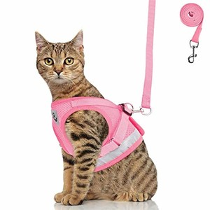ebay cat harness