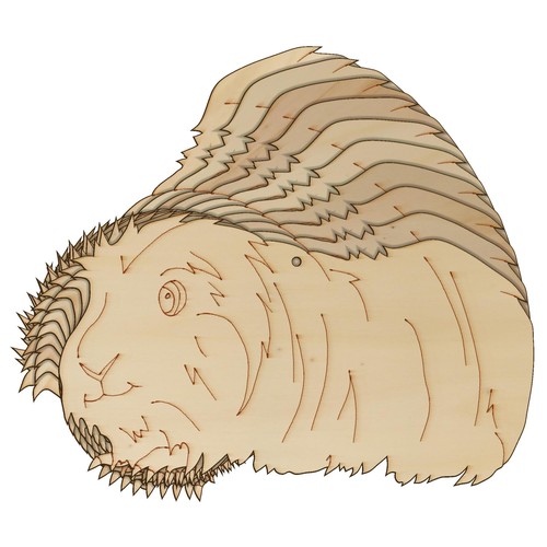 10x Wooden Guinea Pig Long Haired Craft Shapes 3mm Plywood Pet Animal Rodent - Picture 2 of 4