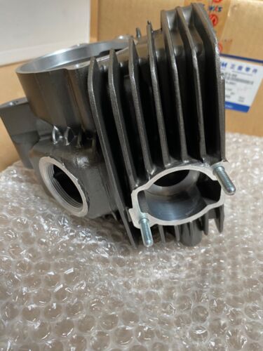 NEU Original SYM WOLF 125 Zylinderkopf komplett 12200-B7A-000 - Bild 3 von 11