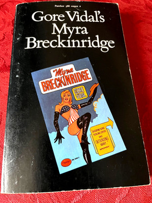 Gore Vidal's Myra Breckinridge Vintage Paperback Book Panther 1969 Free Post